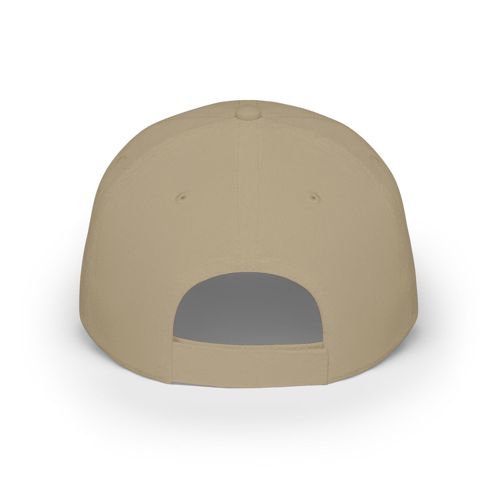 WDDTS Logo hat