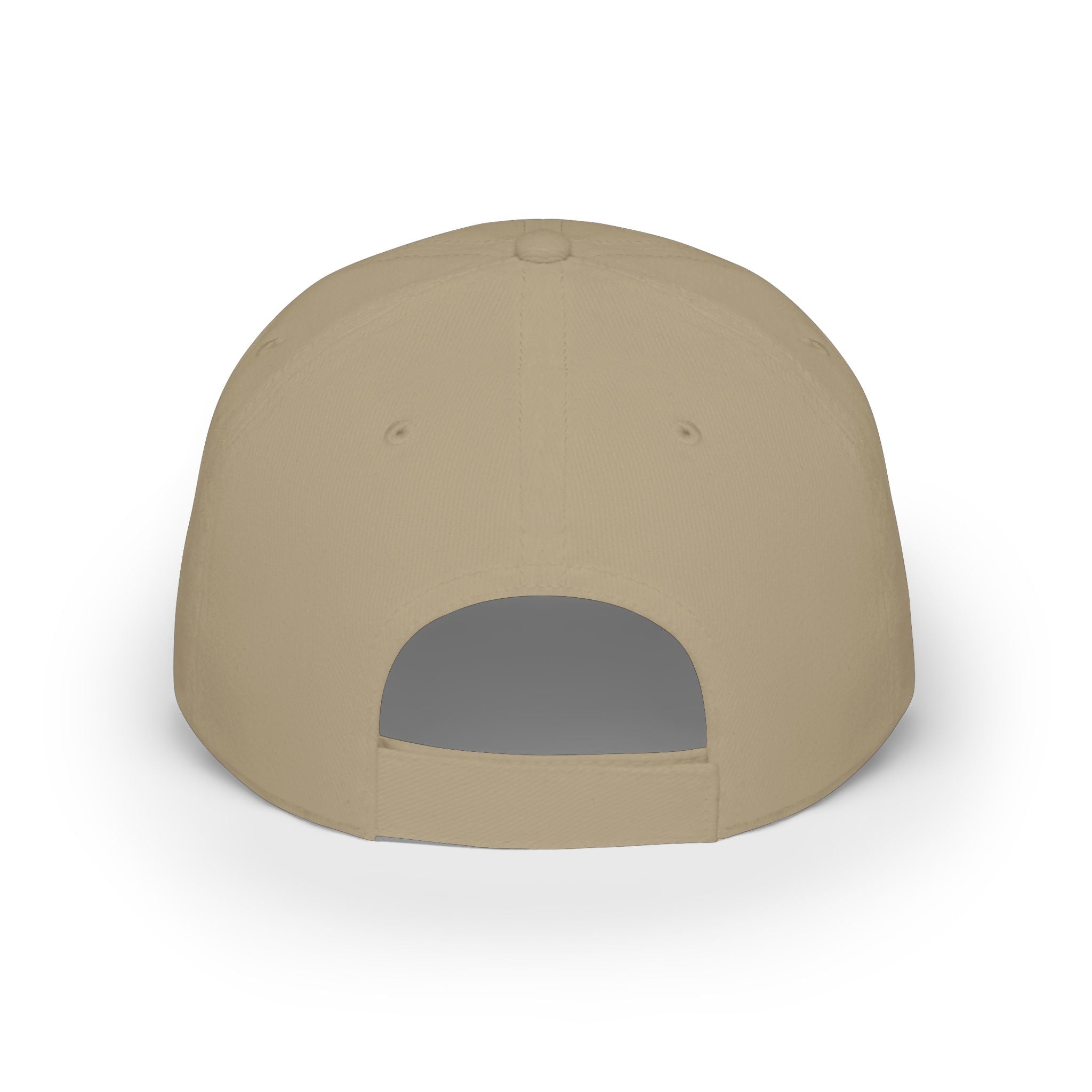 WDDTS Logo hat
