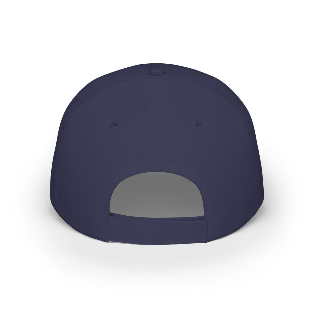 WDDTS Logo hat