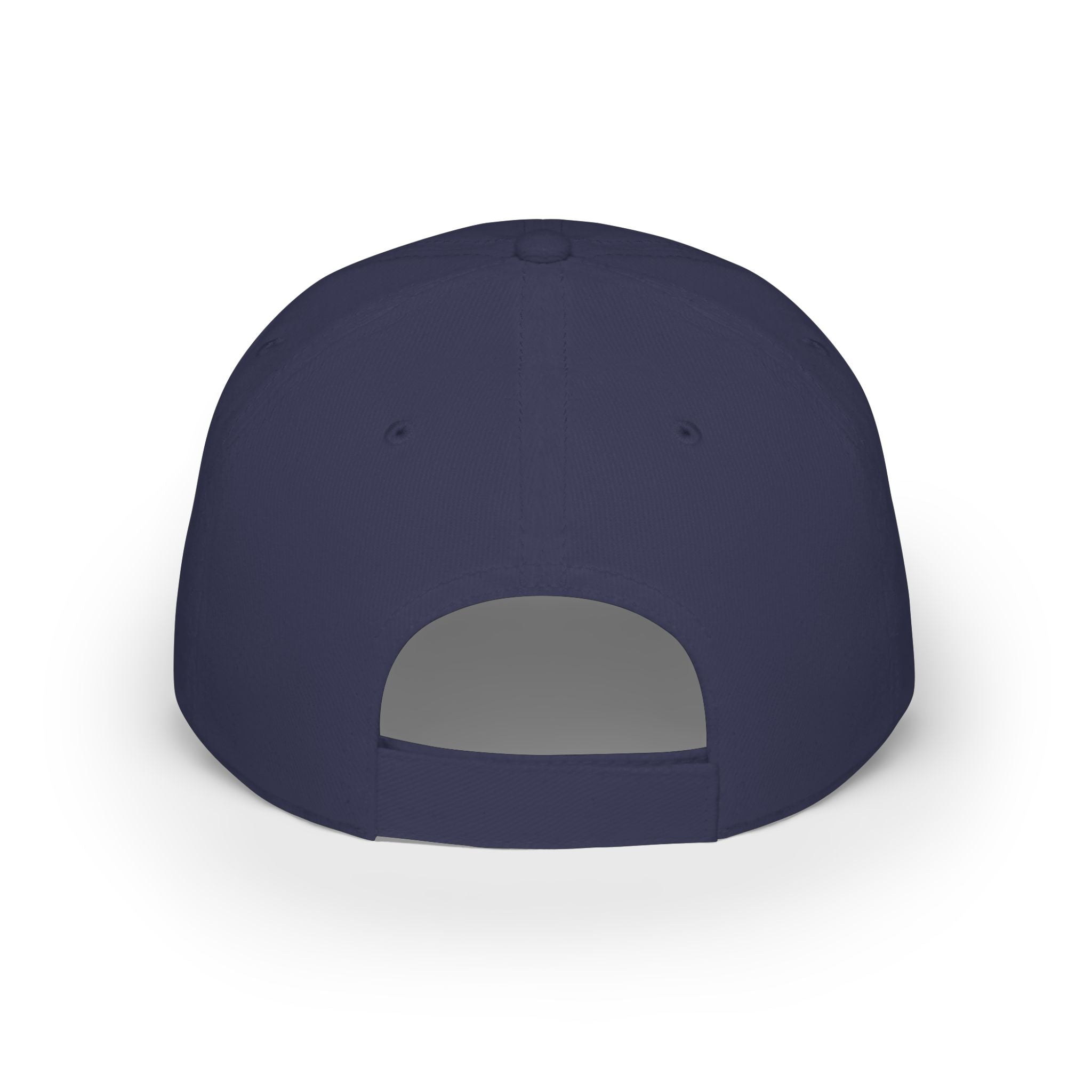 WDDTS Logo hat