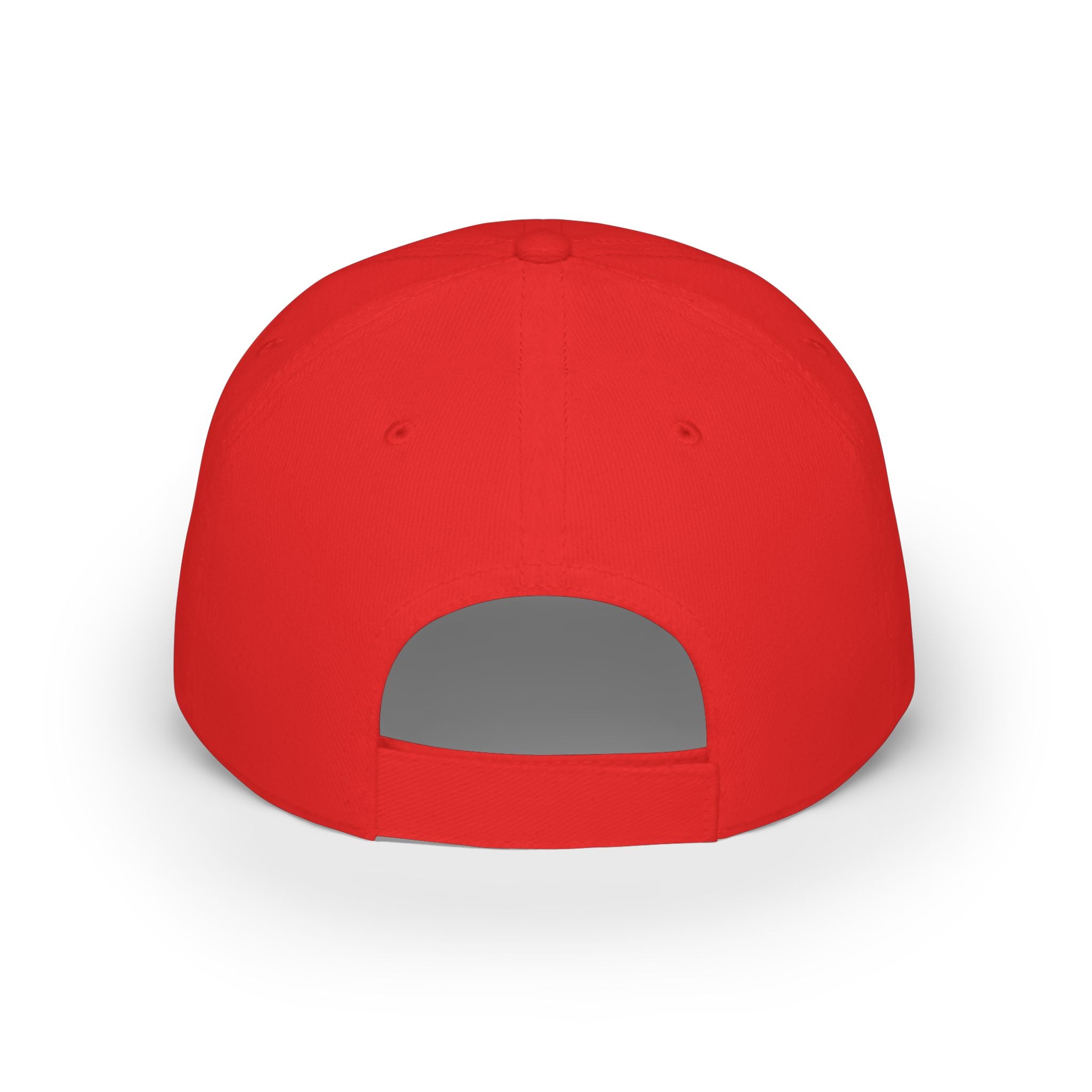 WDDTS Logo hat