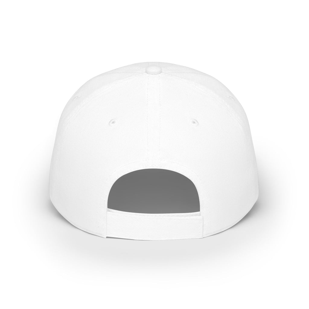WDDTS Logo hat