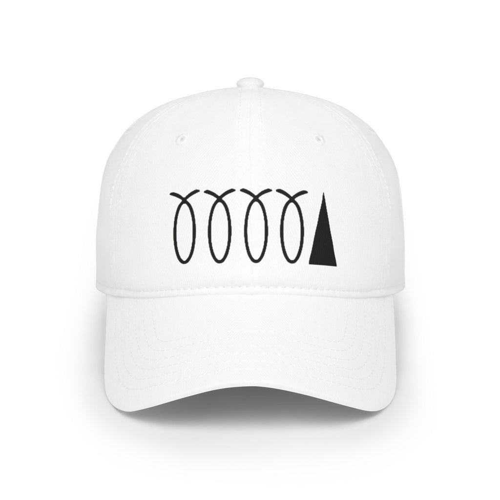 WDDTS Logo hat