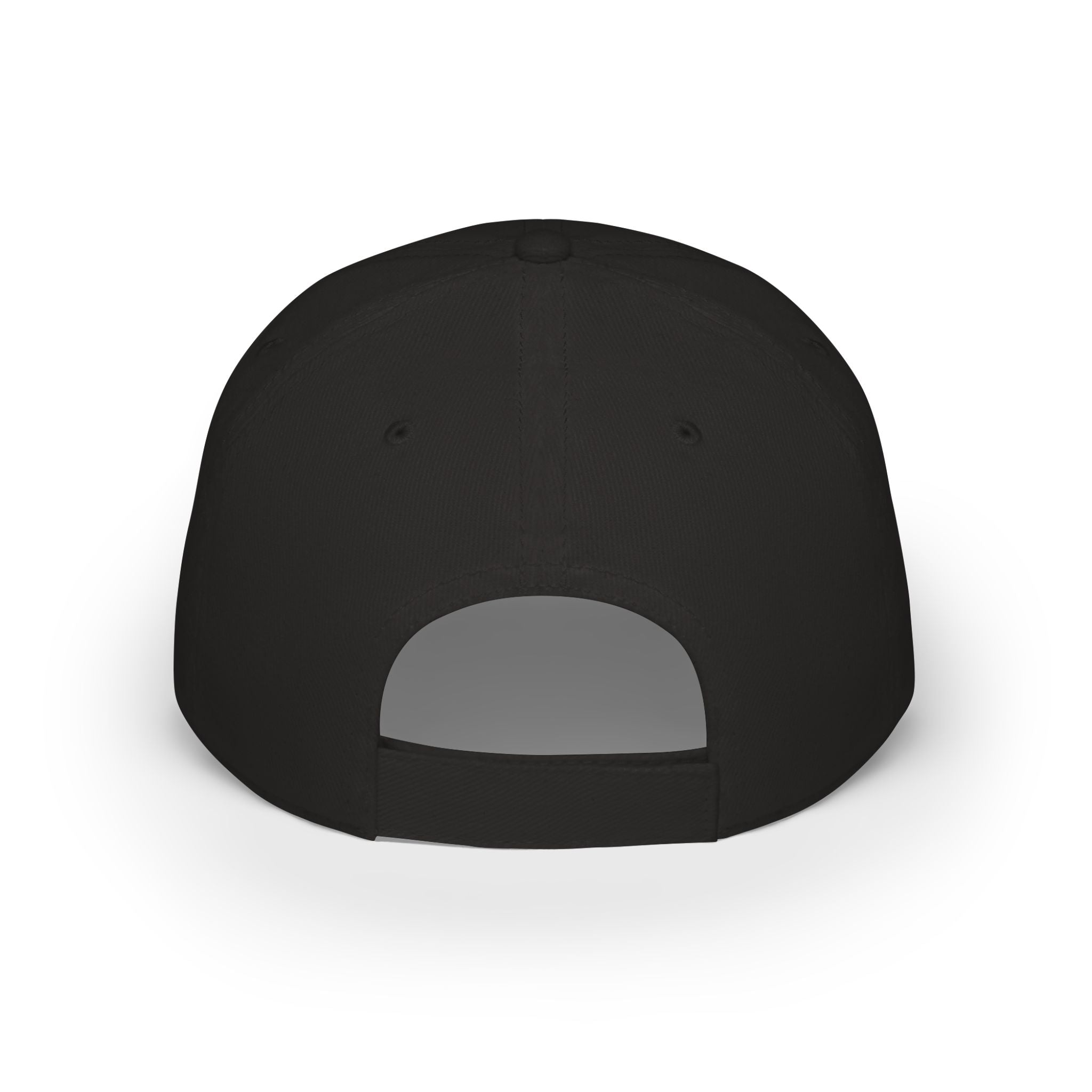 WDDTS Logo hat