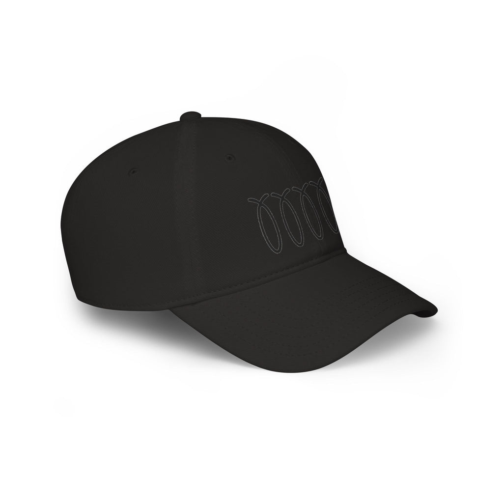 WDDTS Logo hat