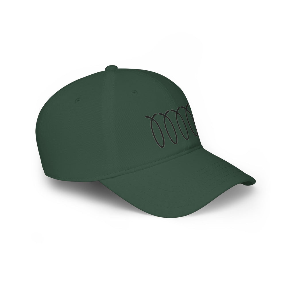 WDDTS Logo hat