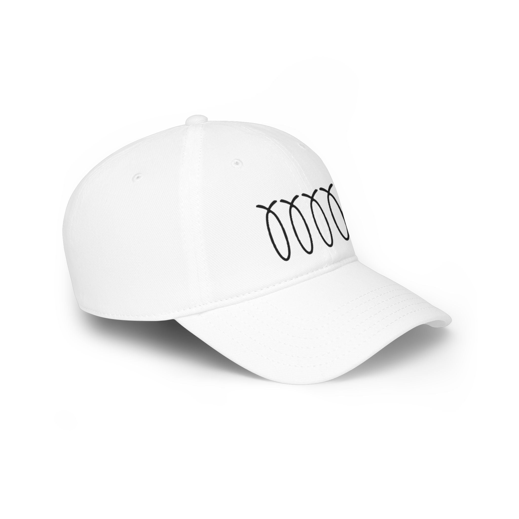 WDDTS Logo hat