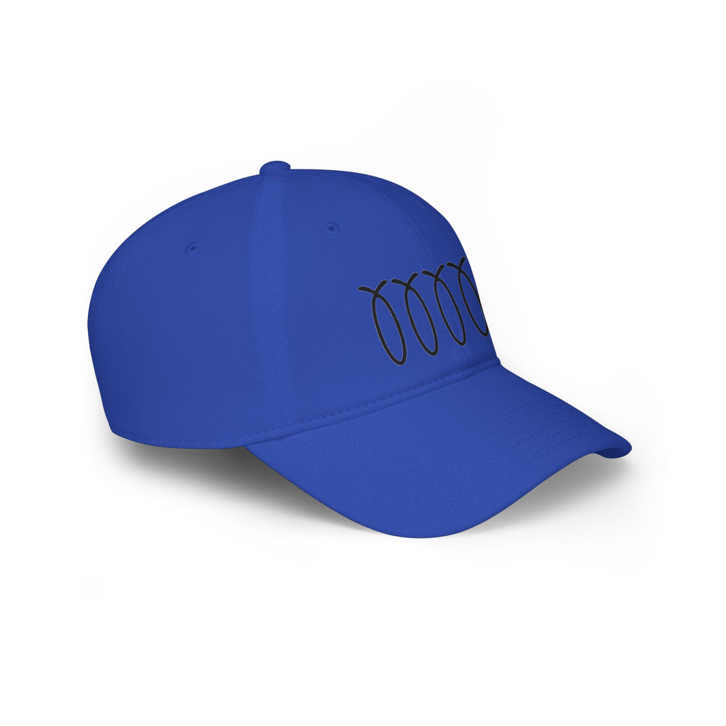 WDDTS Logo hat