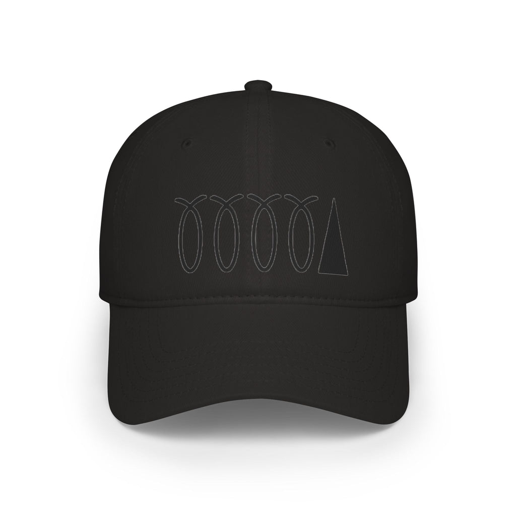 WDDTS Logo hat