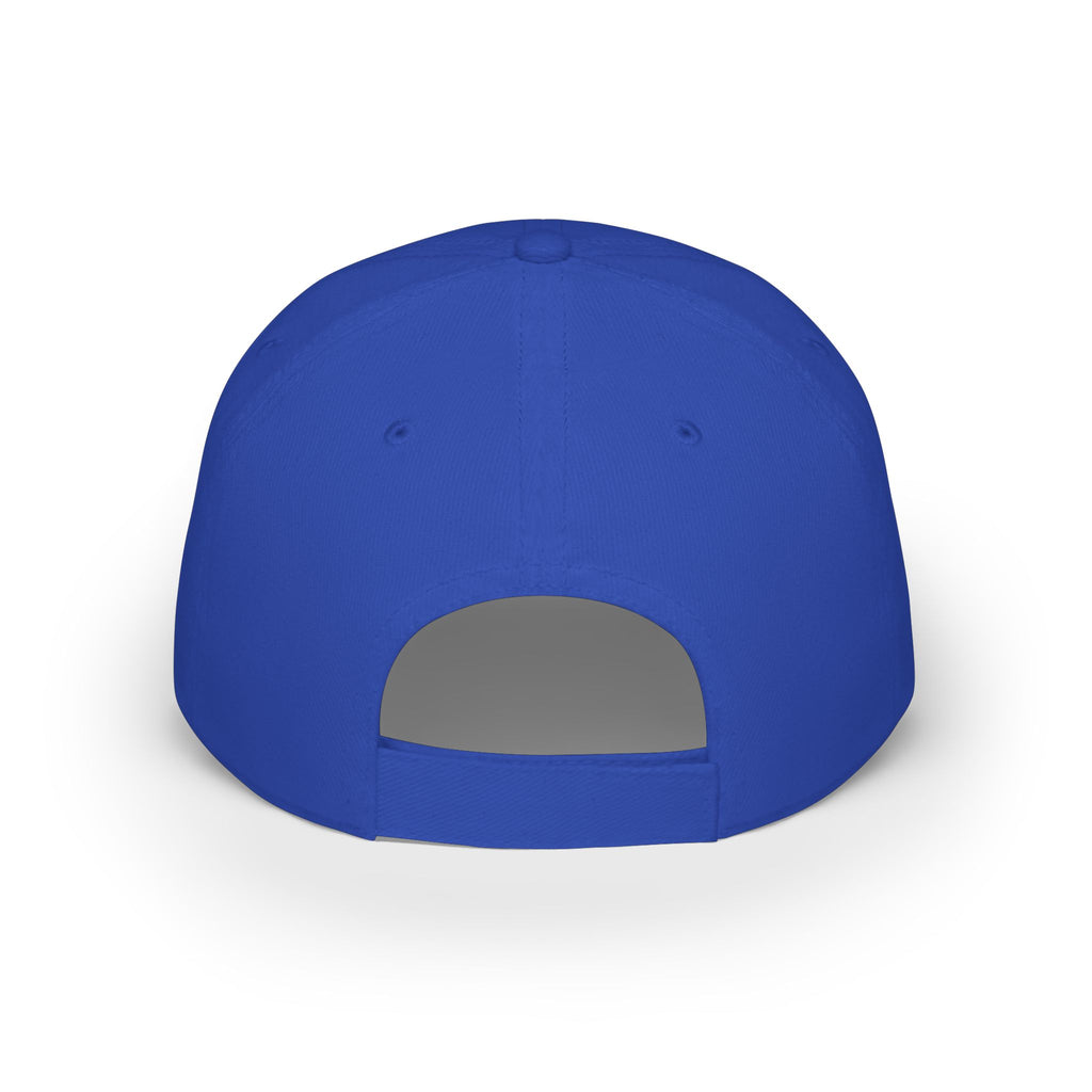 WDDTS Logo hat
