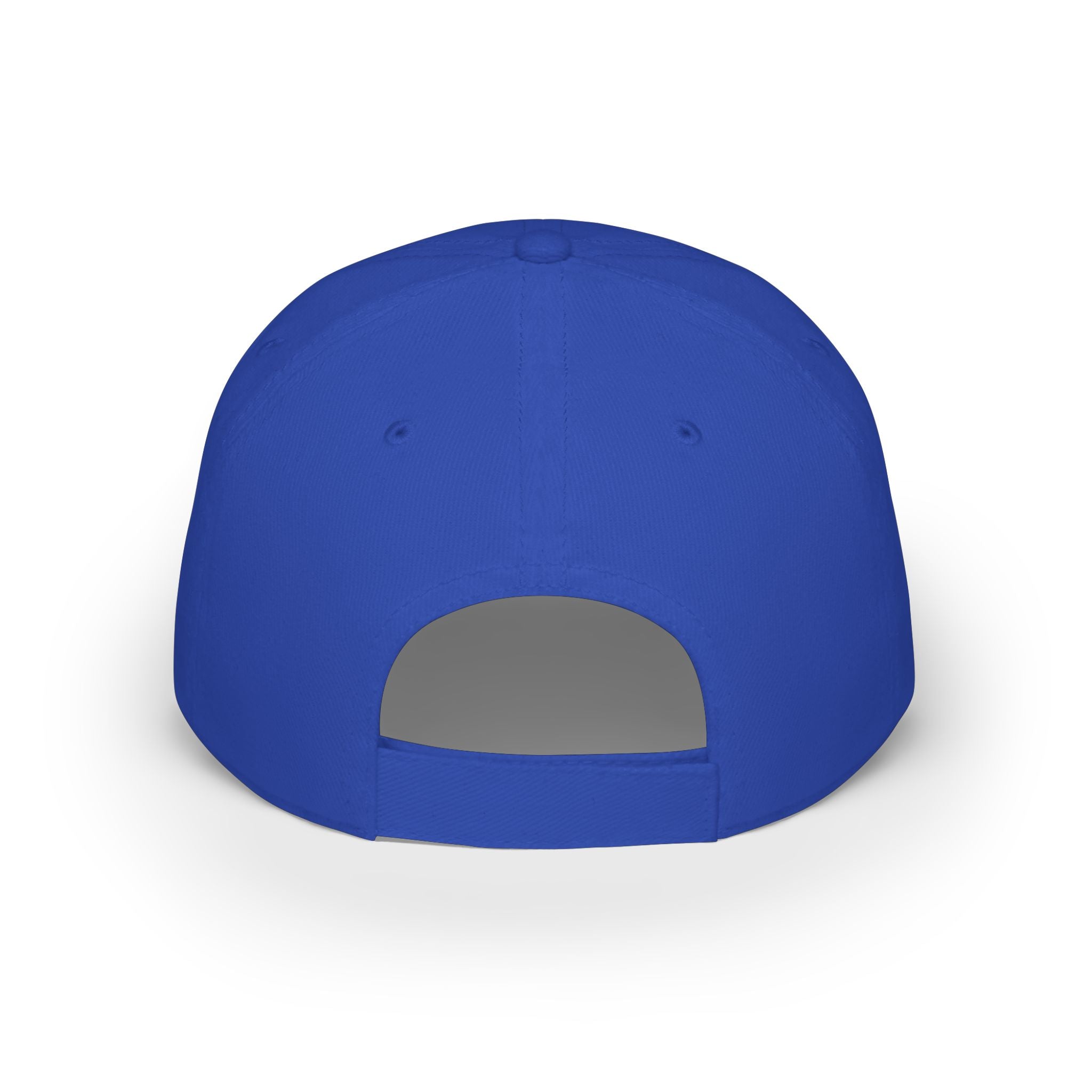 WDDTS Logo hat