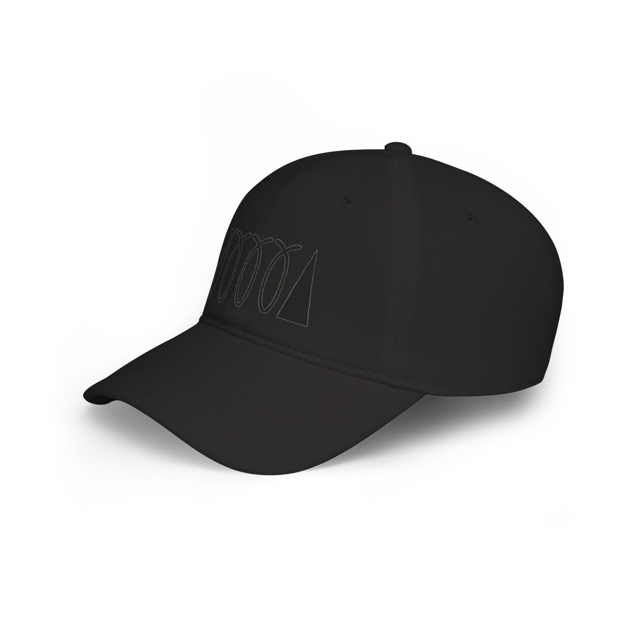 WDDTS Logo hat