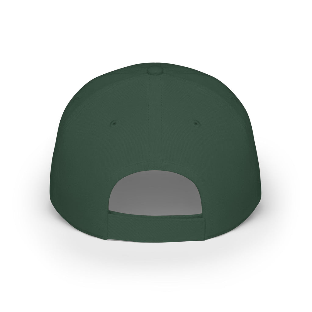 WDDTS Logo hat