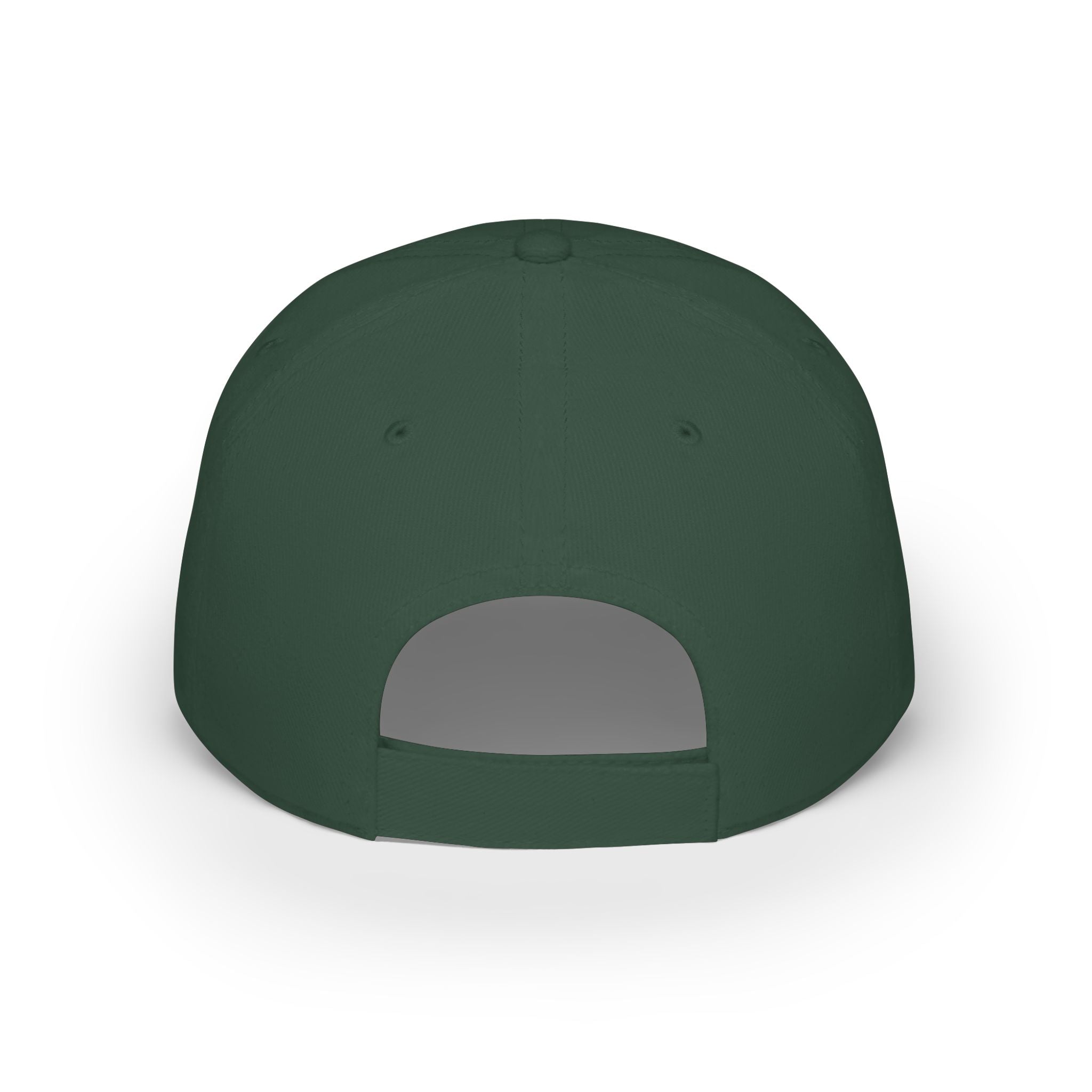 WDDTS Logo hat